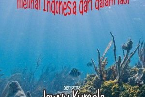 Akber Makassar: Diving, Melihat Indonesia dari dalam Laut